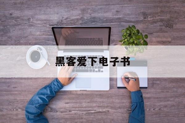 黑客爱下电子书（关于黑客的电子书）