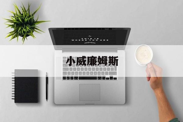 小威廉姆斯（小威廉姆斯退役）