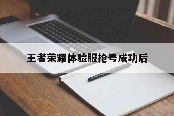 王者荣耀体验服抢号成功后（王者荣耀体验服申请抢号）