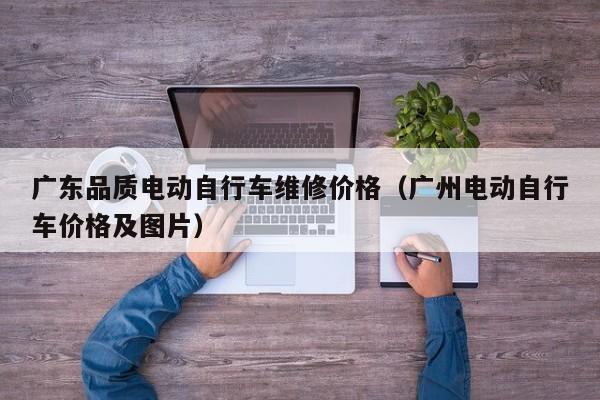 广东品质电动自行车维修价格（广州电动自行车价格及图片）