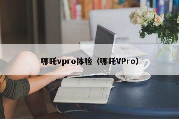 哪吒vpro体验（哪吒VPro）