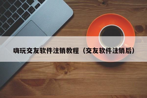 嗨玩交友软件注销教程（交友软件注销后）