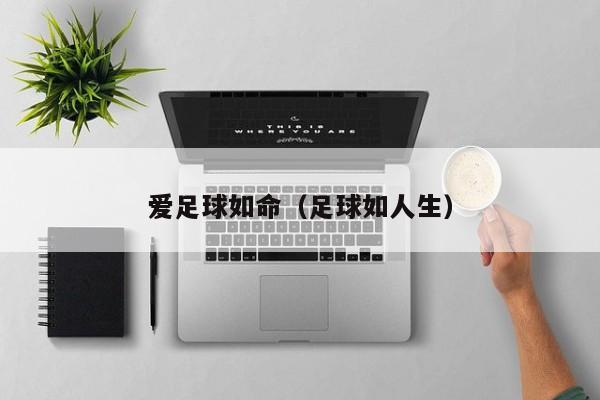 爱足球如命（足球如人生）