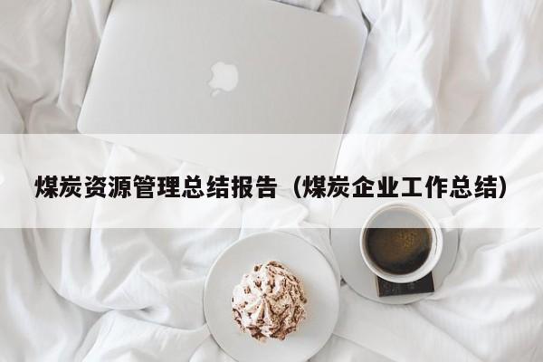 煤炭资源管理总结报告（煤炭企业工作总结）