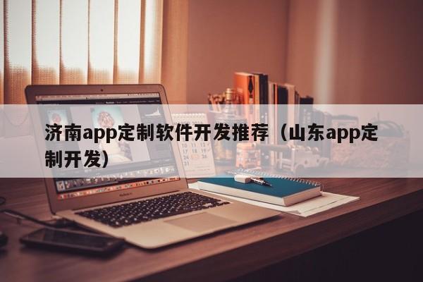 济南app定制软件开发推荐（山东app定制开发）