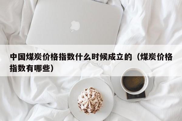 中国煤炭价格指数什么时候成立的（煤炭价格指数有哪些）