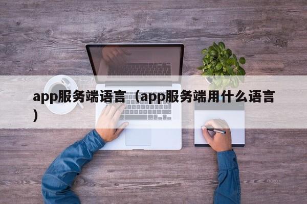 app服务端语言（app服务端用什么语言）