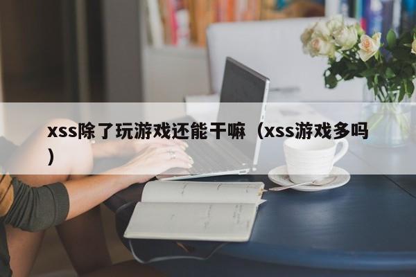 xss除了玩游戏还能干嘛（xss游戏多吗）