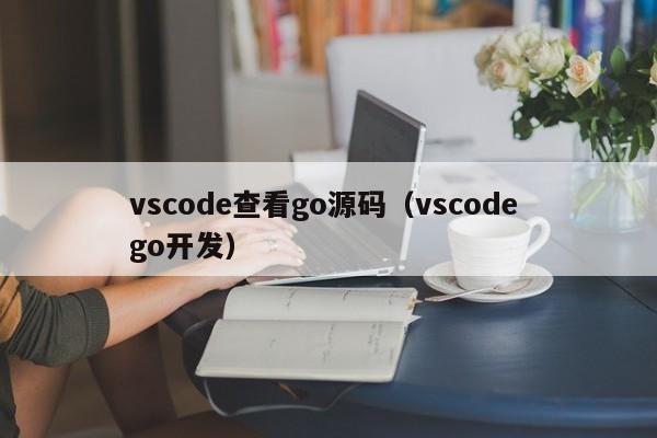 vscode查看go源码（vscode go开发）