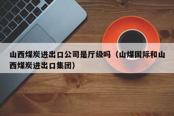山西煤炭进出口公司是厅级吗（山煤国际和山西煤炭进出口集团）