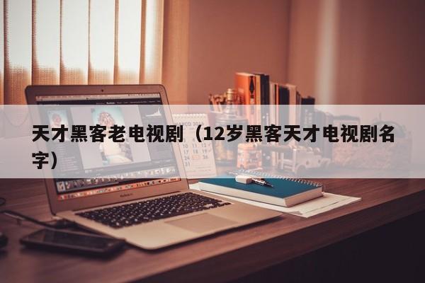 天才黑客老电视剧（12岁黑客天才电视剧名字）
