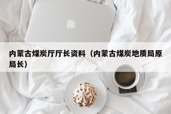 内蒙古煤炭厅厅长资料（内蒙古煤炭地质局原局长）