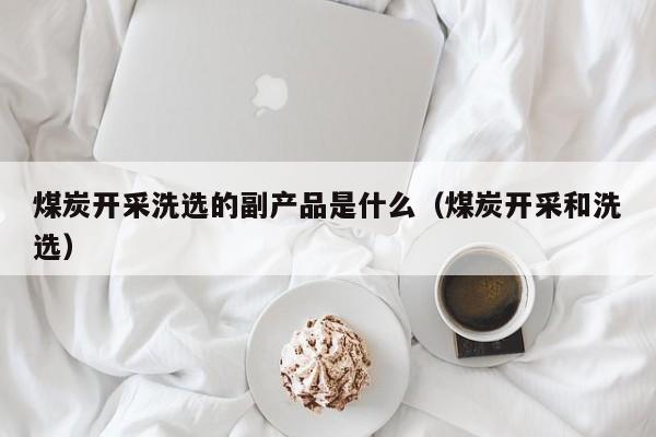 煤炭开采洗选的副产品是什么（煤炭开采和洗选）