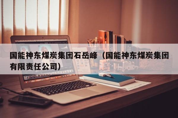 国能神东煤炭集团石岳峰（国能神东煤炭集团有限责任公司）