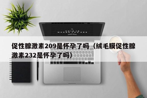促性腺激素209是怀孕了吗（绒毛膜促性腺激素232是怀孕了吗）