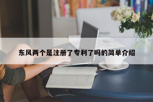 东风两个是注册了专利了吗的简单介绍