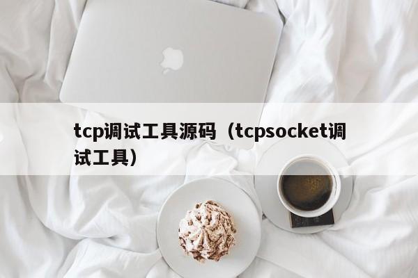 tcp调试工具源码（tcpsocket调试工具）