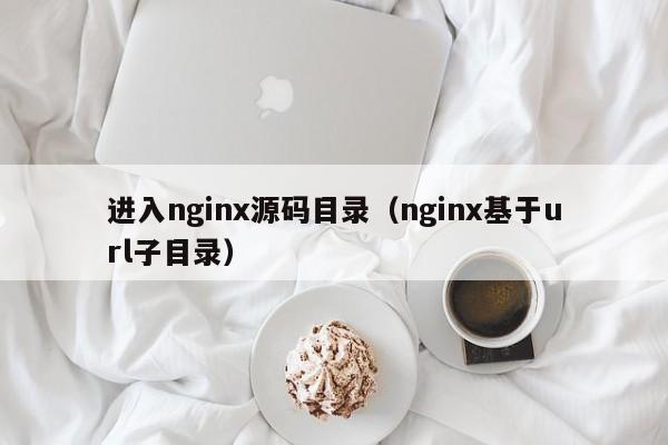 进入nginx源码目录（nginx基于url子目录）