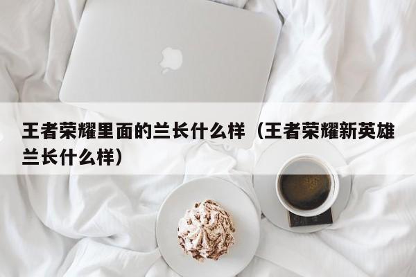 王者荣耀里面的兰长什么样（王者荣耀新英雄兰长什么样）