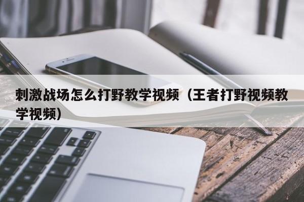 刺激战场怎么打野教学视频（王者打野视频教学视频）