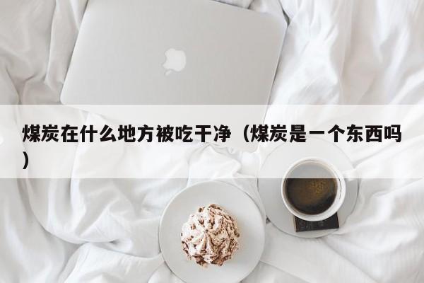 煤炭在什么地方被吃干净（煤炭是一个东西吗）