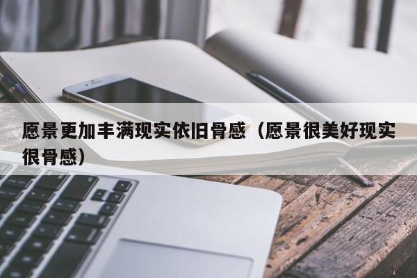 愿景更加丰满现实依旧骨感（愿景很美好现实很骨感）