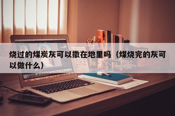 烧过的煤炭灰可以撒在地里吗（煤烧完的灰可以做什么）