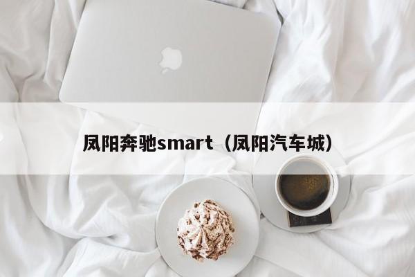 凤阳奔驰smart（凤阳汽车城）