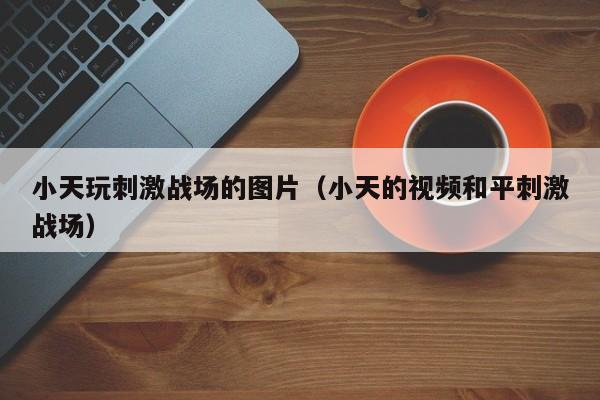 小天玩刺激战场的图片（小天的视频和平刺激战场）