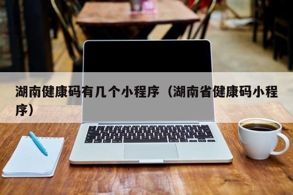 湖南健康码有几个小程序（湖南省健康码小程序）