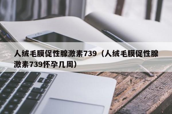 人绒毛膜促性腺激素739（人绒毛膜促性腺激素739怀孕几周）