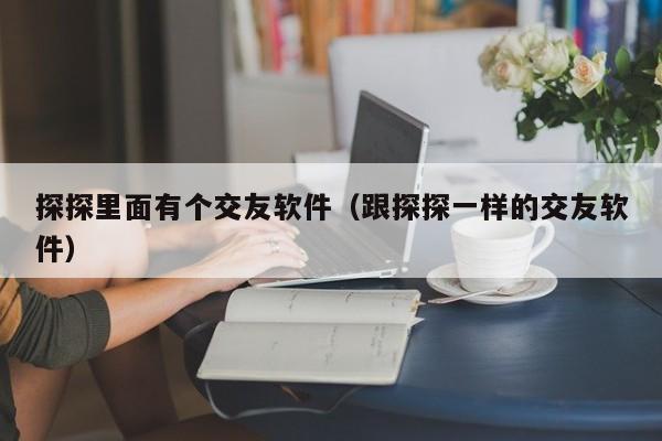 探探里面有个交友软件（跟探探一样的交友软件）