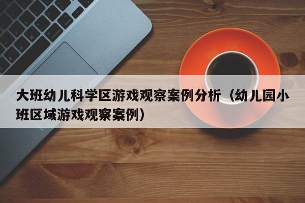 大班幼儿科学区游戏观察案例分析（幼儿园小班区域游戏观察案例）