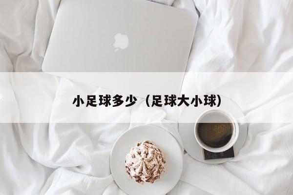 小足球多少（足球大小球）