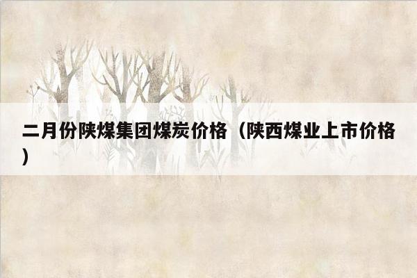 二月份陕煤集团煤炭价格（陕西煤业上市价格）