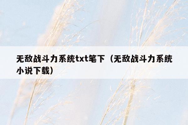 无敌战斗力系统txt笔下（无敌战斗力系统小说下载）