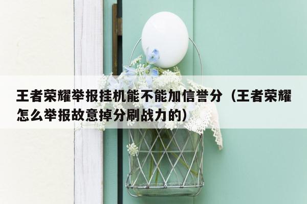 王者荣耀举报挂机能不能加信誉分（王者荣耀怎么举报故意掉分刷战力的）