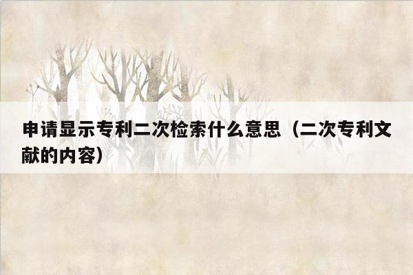申请显示专利二次检索什么意思（二次专利文献的内容）