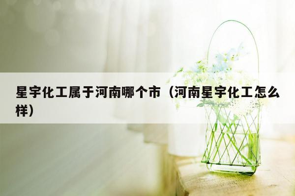 星宇化工属于河南哪个市（河南星宇化工怎么样）