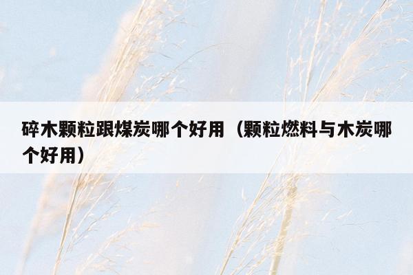 碎木颗粒跟煤炭哪个好用（颗粒燃料与木炭哪个好用）
