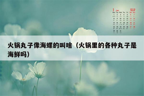 火锅丸子像海螺的叫啥（火锅里的各种丸子是海鲜吗）