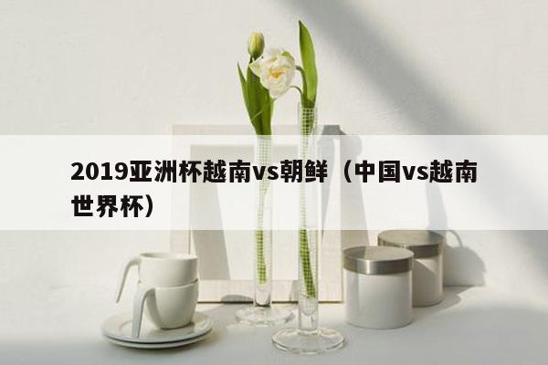 2019亚洲杯越南vs朝鲜（中国vs越南世界杯）