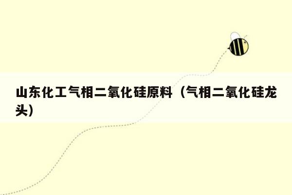 山东化工气相二氧化硅原料（气相二氧化硅龙头）