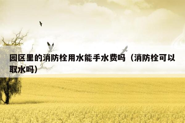 园区里的消防栓用水能手水费吗（消防栓可以取水吗）
