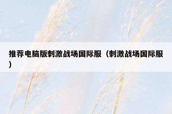 推荐电脑版刺激战场国际服（刺激战场国际服）