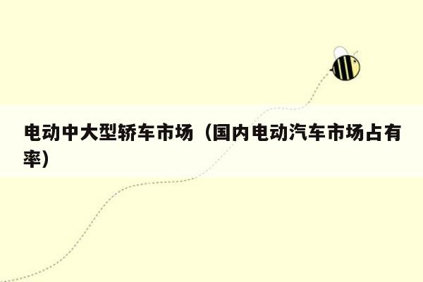 电动中大型轿车市场（国内电动汽车市场占有率）