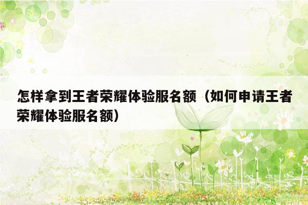 怎样拿到王者荣耀体验服名额（如何申请王者荣耀体验服名额）