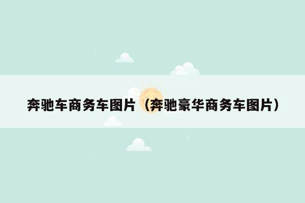 奔驰车商务车图片（奔驰豪华商务车图片）