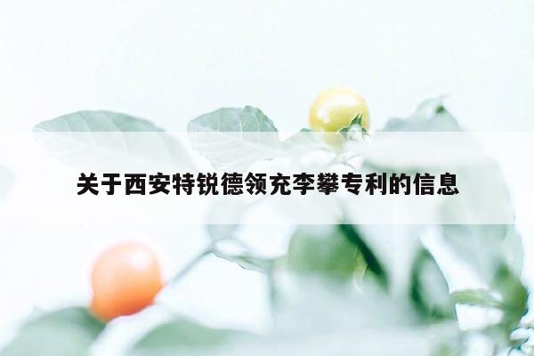 关于西安特锐德领充李攀专利的信息