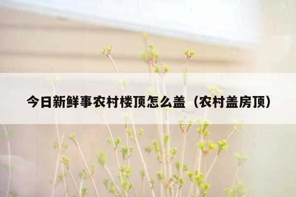 今日新鲜事农村楼顶怎么盖（农村盖房顶）